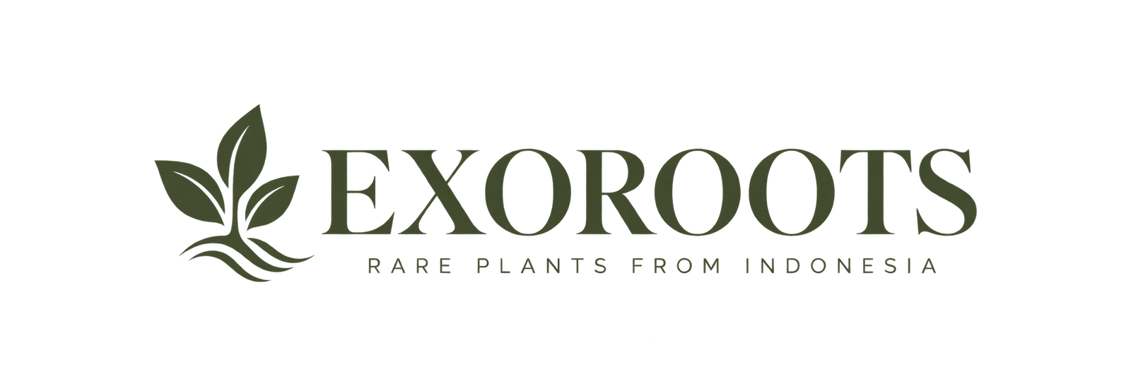 wp.exoroots.com